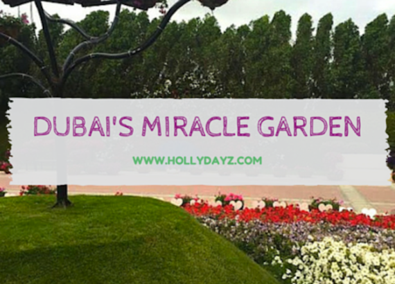 dubais miracle garden © hollydayz