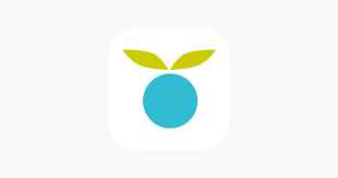 app of the month: huckleberry © hollydayz