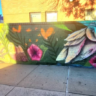 Street Art Sunday

Love the colors and the words on this one! Also how the sun hits it. 

Will Power
Knowledge
Wisdom
Discipline 

If you know who did this beautiful piece please tag them. 

#streetart #queensny #nycgo #nyc #hometown #vibrantcolors #sunshine #owl #streetartsunday #mural #muralart #artoftheday #igdaily #igtravel